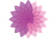 Shakti Top Finance
